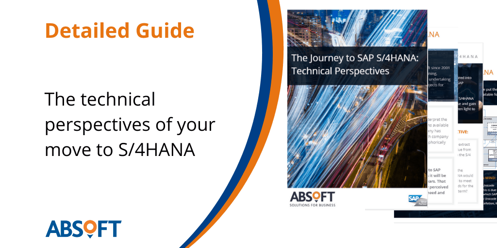 SAP S4HANA Technical Perspectives