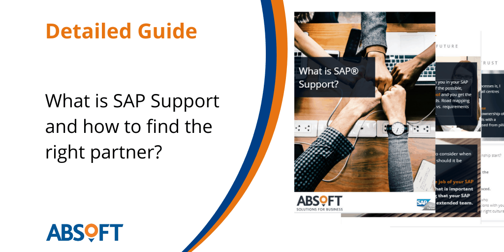 What is SAP Support