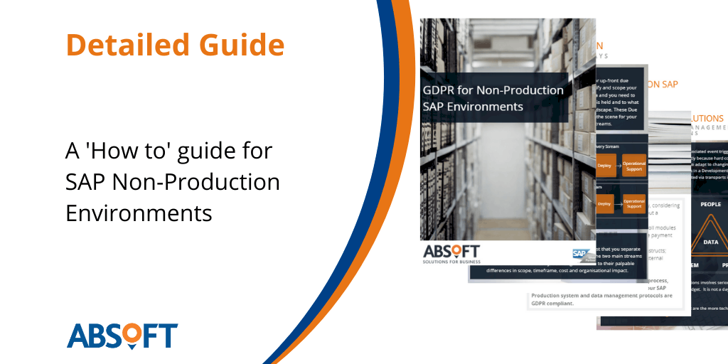 SAP Non-Production Environments