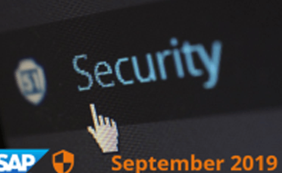sap security