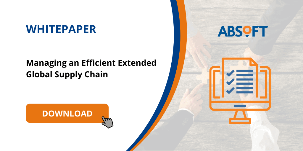 Managing an efficient extended global supply chain